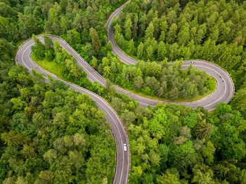 Aerial view of winding road in high mountain pass trough dense green pine woods.