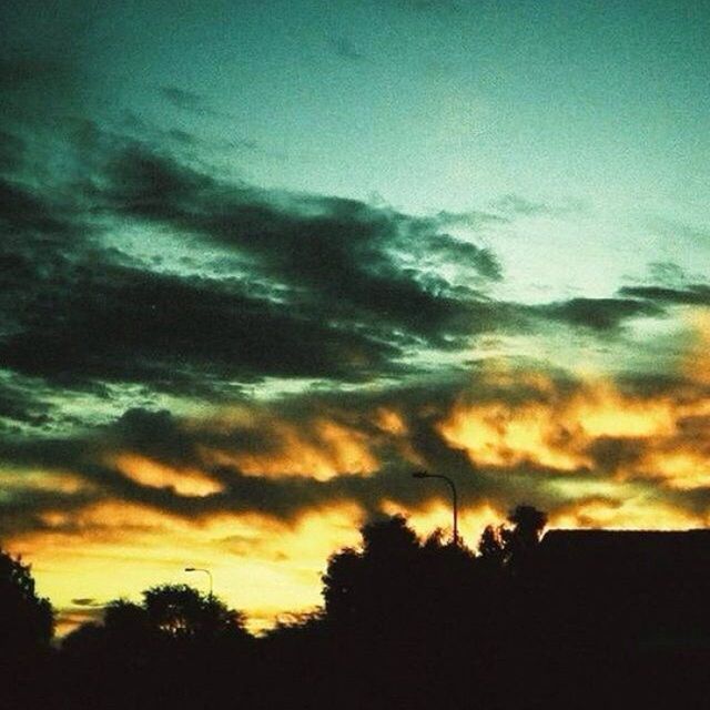 sunset, sky, silhouette, beauty in nature, scenics, tranquility, tranquil scene, cloud - sky, tree, nature, low angle view, dramatic sky, cloud, cloudy, idyllic, orange color, moody sky, outdoors, landscape, dusk