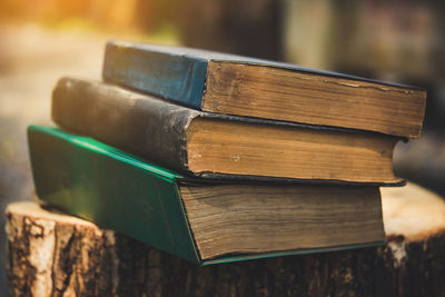 Stack of books on tree stump