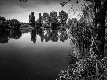 Reflection of trees in lake against sky