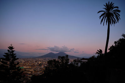 Silhouette palm trees against sky during sunset