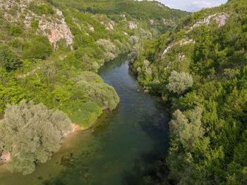 High angle view of river amidst trees in forest