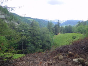 Scenic view of trees and mountains against sky