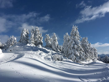 Snow covered landscape against sky