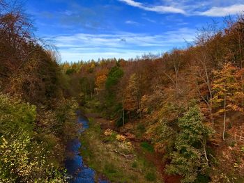 Plants and trees against sky during autumn