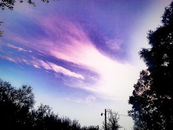 Low angle view of trees against cloudy sky