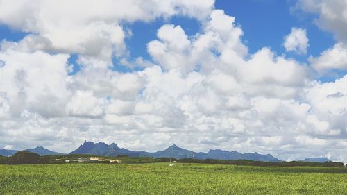 Scenic view of field against sky