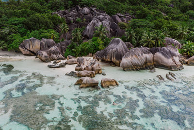 Rocks in a sea