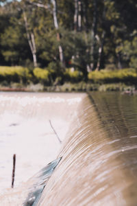 Close-up of water flowing over river in forest