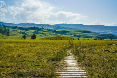 Scenic view of land against sky