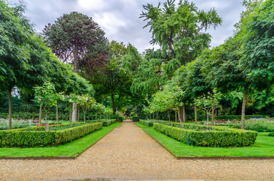 Trees growing in garden against sky