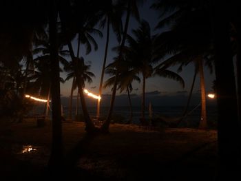 Silhouette palm trees at beach during sunset