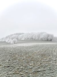 cold temperature