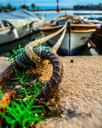 Close-up of rowboat tied at harbor