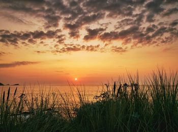 Scenic view of sea against romantic sky at sunset