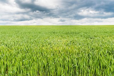 Scenic view of field against cloudy sky