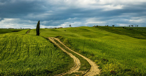 Scenic view of agricultural field against sky