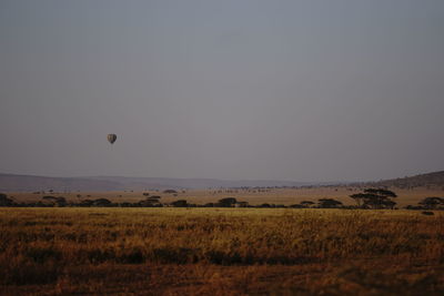 Hot air balloons on field against clear sky