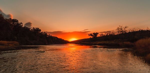 Scenic view of silhouette trees against orange sky