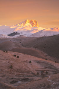 View of a desert