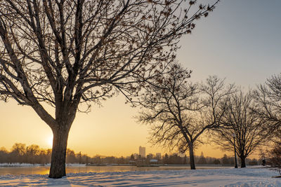 Bare trees on snow field against sky during sunset