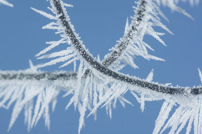 Low angle view of snow against blue sky