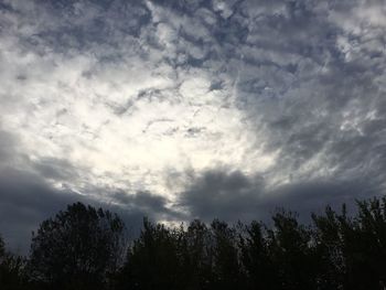 Low angle view of silhouette trees against sky