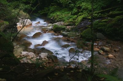 Stream flowing through rocks in forest