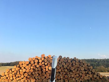 Stack of logs in forest against clear blue sky