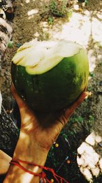 Close-up of hand holding fruit