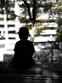 Rear view of boy sitting on tree