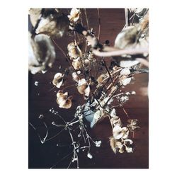 Close-up of dry flowers on table