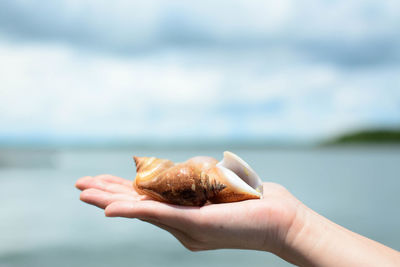 Close-up of hand holding ice cream against sea