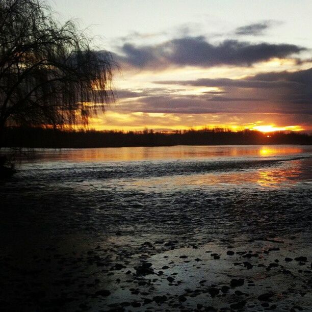 sunset, water, tranquil scene, scenics, tranquility, beauty in nature, reflection, tree, sky, orange color, nature, lake, sun, idyllic, silhouette, cloud - sky, non-urban scene, outdoors, sunlight, no people