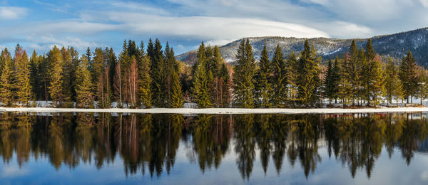 Reflection of trees in lake against sky