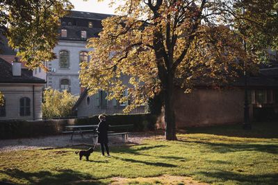 Trees by plants against building during autumn