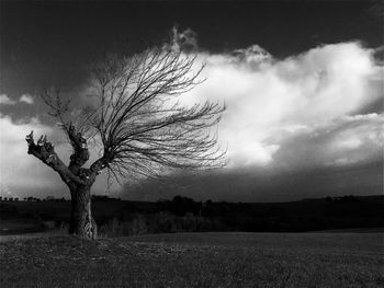 Scenic view of field against cloudy sky