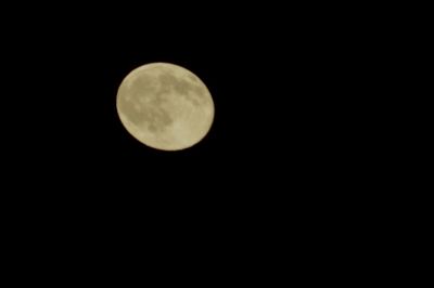 Low angle view of moon in sky