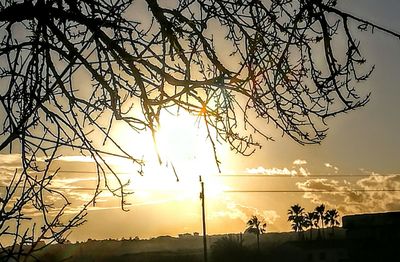 Silhouette trees against sky during sunset