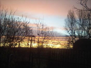 Silhouette of trees at sunset