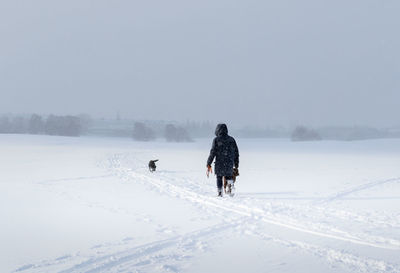 Rear view of person taking the dogs for a walk on a windy, cold, and snowy day