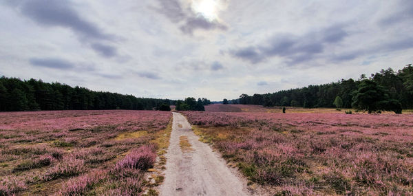 Scenic view of land against sky