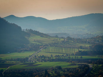 Scenic view of agricultural field against sky