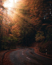 Road amidst trees in forest during autumn