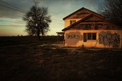 Bare trees against sky at sunset