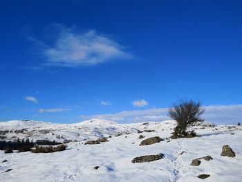 Snow covered landscape against blue sky