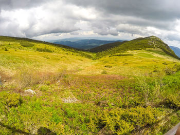 Scenic view of landscape against sky