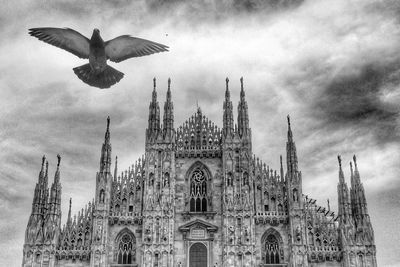 Low angle view of birds flying against sky