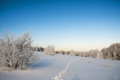 Frosty day on the top of the mountain