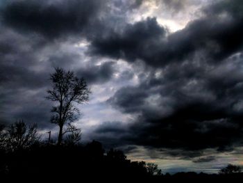 Silhouette of tree against cloudy sky